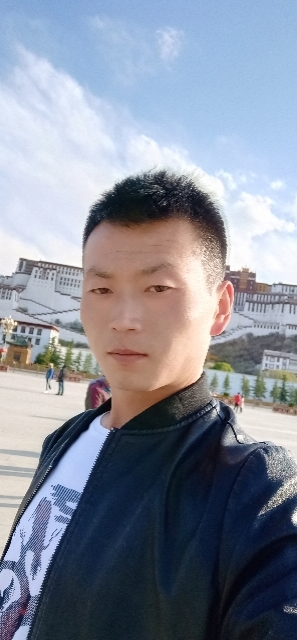阳光下的小草的第二张照片--保定相亲服务中心