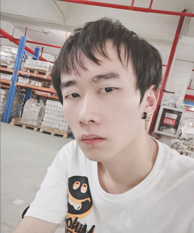 巷子里的猫的第一张照片--保定相亲服务中心
