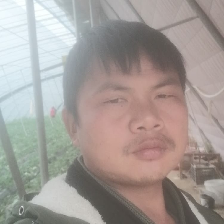 孤狼‘的第一张照片--保定相亲服务中心