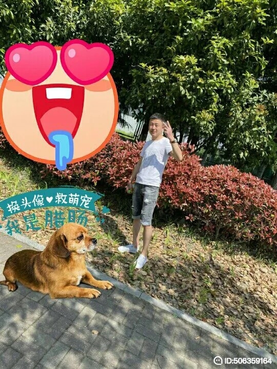 我若不坚强谁替我勇敢的第一张照片--保定相亲服务中心
