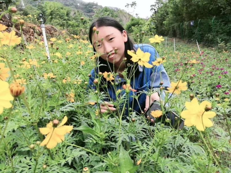 哈哈的第一张照片--保定相亲服务中心