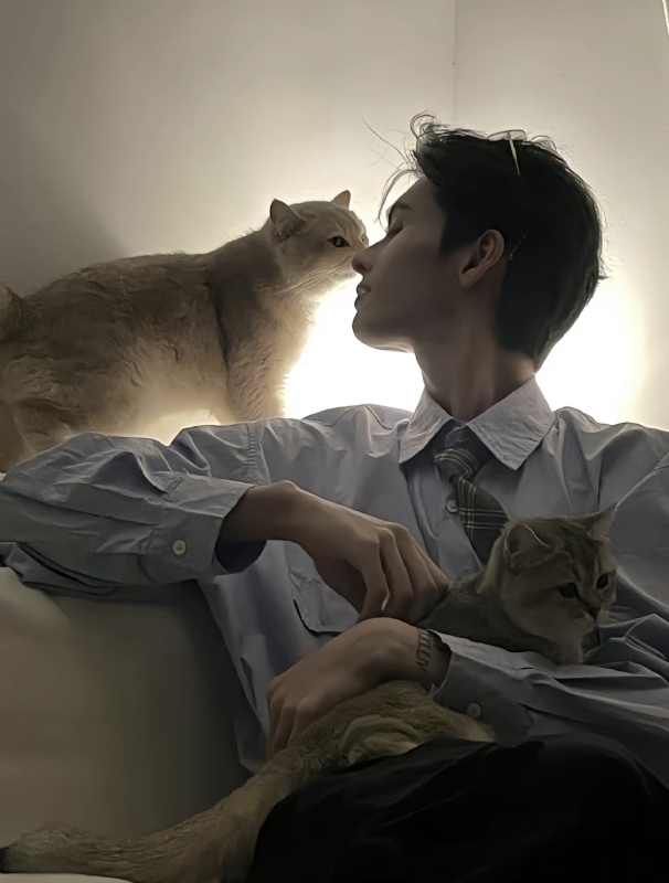 怪猫的第一张照片--保定相亲服务中心
